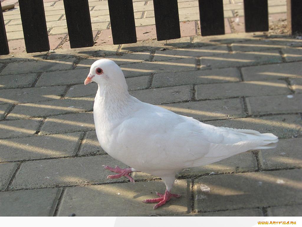 , 